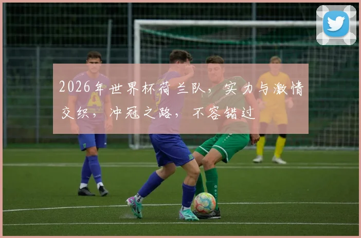 2026年世界杯荷兰队，实力与激情交织，冲冠之路，不容错过