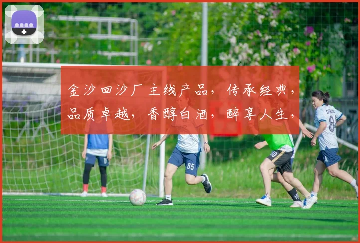 金沙回沙厂主线产品，传承经典，品质卓越，香醇白酒，醉享人生，每一滴都是匠心独运。